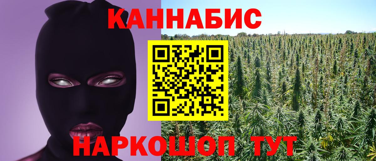 Бошки Шишки Ganja Вятские Поляны